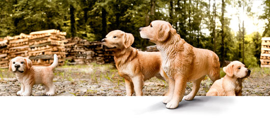 Chien, chat, jouets enfants Chien, chat, jouets enfants