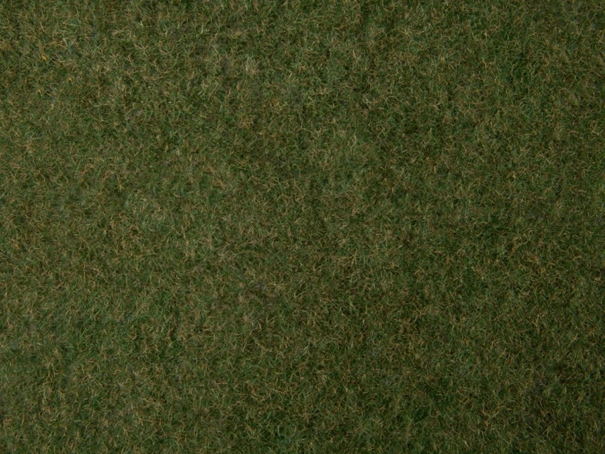 Végétation miniature : Flocage vert foncé herbes sauvages 20 x 23 cm - Noch 07281