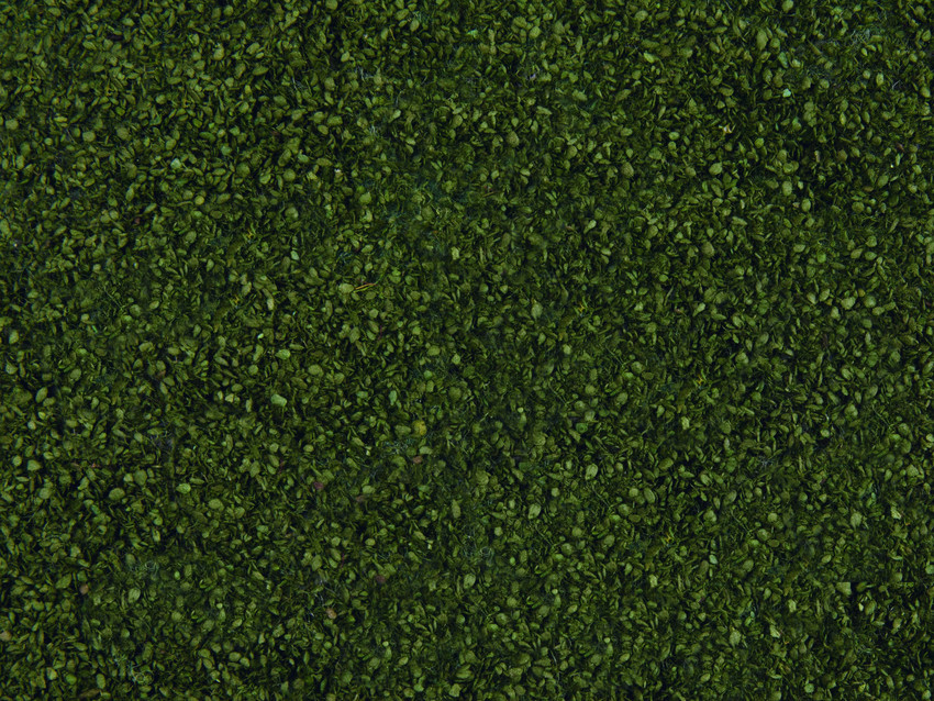 Végétation miniature : Feuillage dense vert foncé 20 x 23 cm - Noch 07301