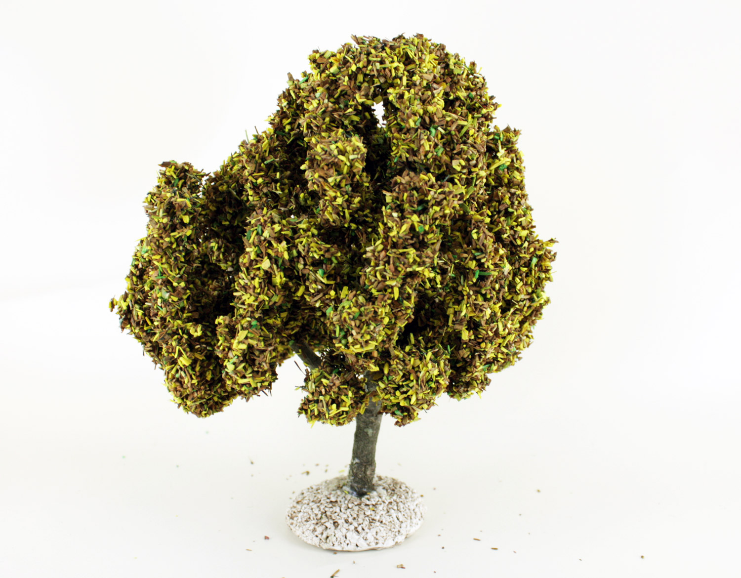 Platane automne - arbre miniature naturel 18 cm - FR