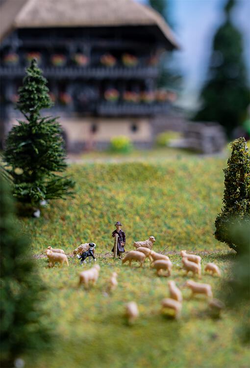 Figurines Noch Moutons Et Berger – Échelle HO (1:87) – Modélisme Ferroviaire