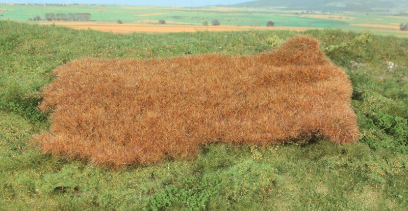 Végétation miniature : Prairie réaliste début d'automne 28 x 14 cm - Heki 015792
