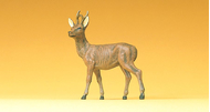 Chevreuil 1:25 - 3,2 cm