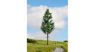 Sapin miniature : Epicéa à haute tige 21 cm - Noch 20196