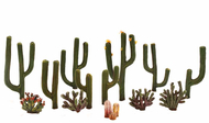 Cactus miniatures  - Woodland TR3600