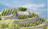 Végétation miniature : Heki 1535 - 120 vignes à construire
