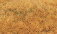 Végétation miniature : Herbe sauvage statique début automne 5-6 mm - Heki 33544