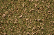 Noch 7075 - Mélange d'herbes pour Grasmaster