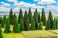 100 sapins miniatures assortis - 1:87 à 1:160 - Faller 181543