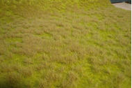 Végétation miniature : Heki 1840 - Herbes sauvages de savane 45 x 17 cm