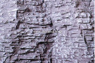 2 Feuilles de montagne 18 x 40 cm - Heki 3139  03139