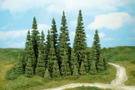 Végétation miniature : Heki 2180 - 30 sapins miniature 5 à 7 cm