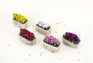 Décors de crèche : 5 Petits Pots de fleurs miniatures multicolores - FR-D/21110ASS/S