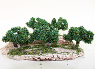 Décor de champs de vignes - crèche provençale avec vignes et arbres - FR 23007