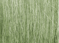 Champ d'herbes hautes vert clair - Woodland FG173