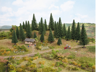 25 Sapins à piquer de  3,5 - 9 cm 1:87, 1:120, 1:160 - Noch 32830