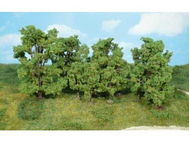 Heki 1415 - 12 arbres feuillus 6 - 13 cm