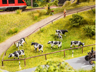 Figurines miniatures : Pâturage de vaches - Noch 12851