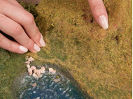 Végétation miniature : Flocage vert olive 20 x 23 cm - Noch 07272