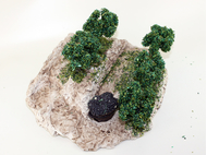 Décor de champs de vignes - crèche provençale avec vignes et arbres - FR-D25024