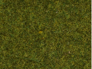 Végétation miniature : Herbe sauvage "Prairie" - 0, HO, TT - Noch 07117 7117 - diorama.fr