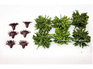 Buissons miniature verts 3 cm - échelle O ; 1:22,5