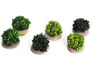 6 buissons verts miniatures