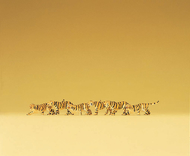 Preiser 79714 - Tigres miniatures 1:160