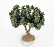 Olivier miniature sans olives pour crèches provençales 15 cm