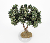 Olivier sans olives 12 cm pour crèches provençales - FR-ATB/68590