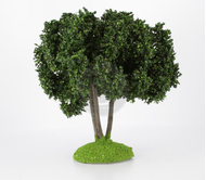 Chêne truffier miniature 14 cm tronc bois