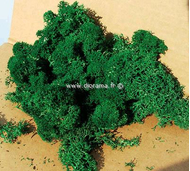 Végétation naturelle : Lichen vert foncé - mousse d'Islande - Heki 3211