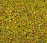 Noch 8310 - Herbe jaune de prairies 20 g