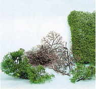 Végétation miniature : Heki 1530 - 15 arbres à construire  - 2-6  cm