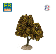 Platane automne - arbre miniature naturel 18 cm - FR-ATB/26790