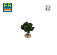 FR-ATB/42593P - 10 pieds de vignes vertes 4 cm