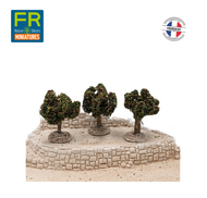 FR-ATB/43593P - 10 pieds de vignes automnes 4 cm