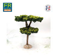 Pin maritime pour crèches provençales - FR-ATB/65690