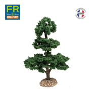 Arbre naturel tronc, bois très esthétique : cèdre - FR-AV29156