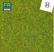 FR 523 - Papier décors imitation gazon vert clair