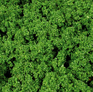 Heki 1540 - Feuillage vert 14 x 28 cm