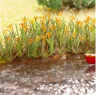 Végétation miniature :  Iris de marais -  1:87 - Noch 14140