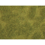 Végétation miniature : Prairie grasse Natur+ - Noch 07470