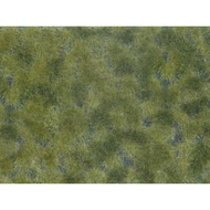Végétation miniature : Feuillage couvre sol, vert moyen - Noch 07250