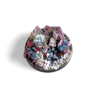 Ak Interactive 11263 - Effet givré 17 ml pour vos décors miniatures d'hiver