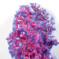 AK Interactive 8264 - Buisson / arbre miniature fantaisie bleu et rose