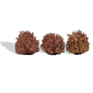 Végétation miniature : 3 arbustes automne 4 cm 1/87 HO - Busch 3609