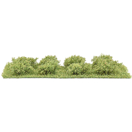 Végétation miniature : 8 micro arbustes printemps au 1/87 - Busch 3601 03601