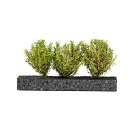 AK Interactive 8216 - Buisson / arbre miniature vert clair 3 - 4 cm