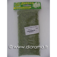 JORD-740 - Poudre colorée vert clair 45 g